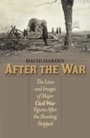 Cover: After the War - Ivan R. Dee