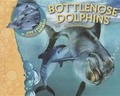 Cover: Us Lcma Bottlenose Dolphins - Smart Apple Media,US