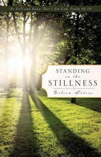 Enlarge image Cover: Standing In The Stillness - Xulon Press