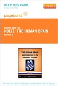 Cover: Nolte's the Human Brain - Elsevier eBook on Vitalsource (Retail Access Card) - Mosby