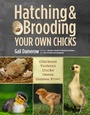 Cover: Hatching & Brooding Your Own Chicks - Storey Publishing, LLC