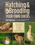 Cover: Hatching & Brooding Your Own Chicks - Storey Publishing, LLC