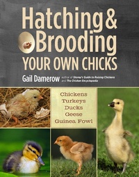 Enlarge image Cover: Hatching & Brooding Your Own Chicks - Storey Publishing, LLC