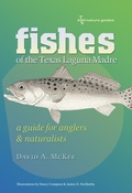Cover: Fishes of the Texas Laguna Madre - Texas A & M University Press
