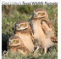 Cover: Greg Lasley's Texas Wildlife Portraits - Texas A & M University Press