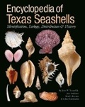 Cover: Encyclopedia of Texas Seashells - Texas A & M University Press