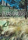 Cover: Field Guide to Texas Grasses - Texas A & M University Press