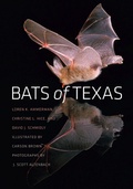 Cover: Bats of Texas - Texas A & M University Press