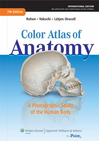 Abbildung von: Color Atlas of Anatomy - Lippincott Williams and Wilkins