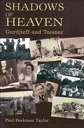 Cover: The Shadows of Heaven - Weiser Books