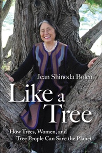 Enlarge image Cover: Like a Tree - Turner Publishing Company