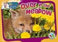 Cover: Over in the Meadow - Rourke Publishing