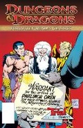 Cover: Dungeons & Dragons: Forgotten Realms Classics Volume 2 - Idea & Design Works