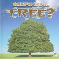 Cover: What's in A... Tree? - Rourke Publishing