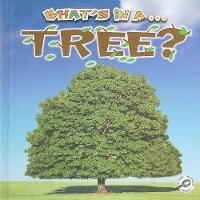 Enlarge image Cover: What's in A... Tree? - Rourke Publishing