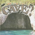 Cover: Cave - Rourke Publishing