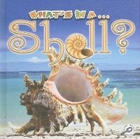Enlarge image Cover: Shell - Rourke Publishing
