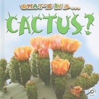 Enlarge image Cover: Cactus - Rourke Publishing
