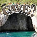 Cover: What's in a... Cave? - Rourke Publishing