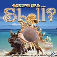 Enlarge image Cover: What's in a...Shell? - Rourke Publishing