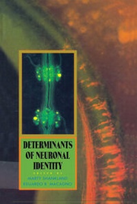 Abbildung von: Determinants of Neuronal Identity - Academic Press