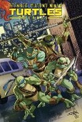 Cover: Teenage Mutant Ninja Turtles Heroes Collection - Idea & Design Works