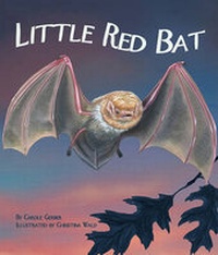 Enlarge image Cover: Little Red Bat - Arbordale Publishing