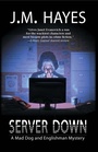 Cover: Server Down - Poisoned Pen Press