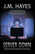 Cover: Server Down - Poisoned Pen Press