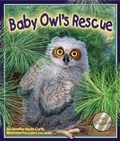 Cover: Baby Owl's Rescue - Arbordale Publishing