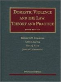 Abbildung von: Domestic Violence and the Law - Foundation Press
