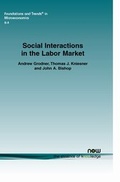 Cover: Social Interactions in the Labor Market - now publishers Inc