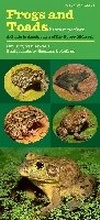 Cover: Frogs and Toads in Your Pocket - University of Iowa Press