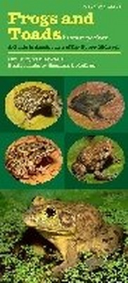 Abbildung von: Frogs and Toads in Your Pocket - University of Iowa Press