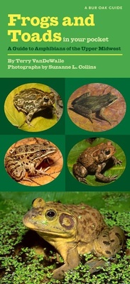 Abbildung von: Frogs and Toads in Your Pocket - University Of Iowa Press