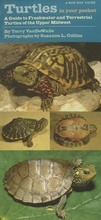 Cover: Turtles in Your Pocket - University of Iowa Press