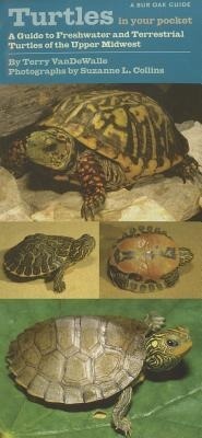 Abbildung von: Turtles in Your Pocket - University of Iowa Press
