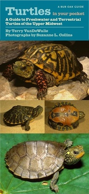 Abbildung von: Turtles in Your Pocket - University Of Iowa Press