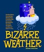 Cover: Bizarre Weather - Imagine
