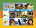 Cover: Chistes de Animales - Santillana USA Publishing Company
