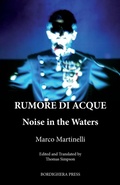 Cover: Rumore Di Acque: Noise in the Waters - Bordighera Press