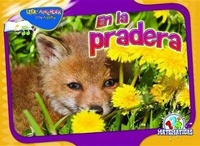 Enlarge image Cover: En La Pradera - Rourke Educational Media