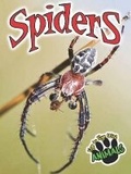 Cover: Spiders - Rourke Educational Media