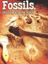 Enlarge image Cover: Fossils - Rourke Educational Media