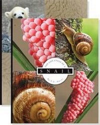 Enlarge image Cover: Life Cycles (Set) - Child's World
