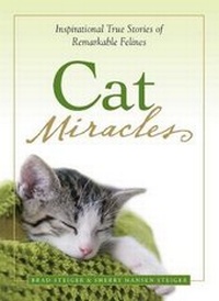 Enlarge image Cover: Cat Miracles - Adams Media Corporation