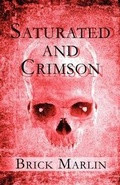 Cover: Saturated and Crimson - America Star Books