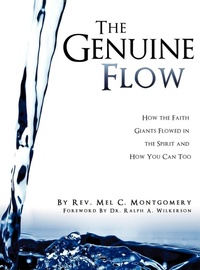 Enlarge image Cover: The Genuine Flow - Xulon Press