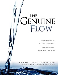 Enlarge image Cover: The Genuine Flow - Xulon Press