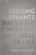 Cover: Chasing Elephants - Tyndale House Publishers, Inc.